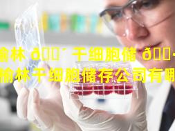 榆林 🐴 干细胞储 🌷 存公司（榆林干细胞储存公司有哪些）